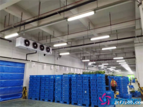 冷库设计规划 冷库设计规划