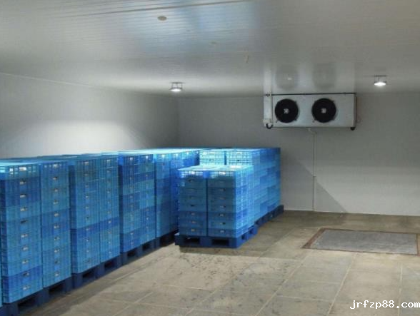 低温冷冻库造价