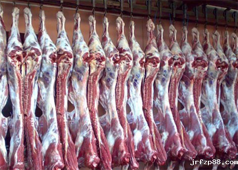 牛肉冷冻库建造 牛肉冷冻库建造