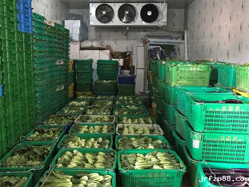 食品物流冷藏库建造安装费用