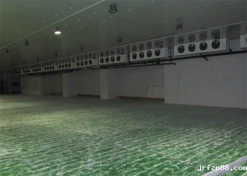 大型海鲜物流冷藏库建设价格