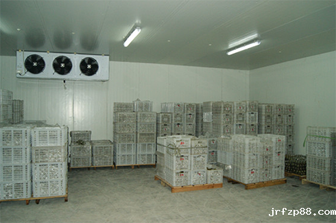 开云体育最新下载软件造价费用