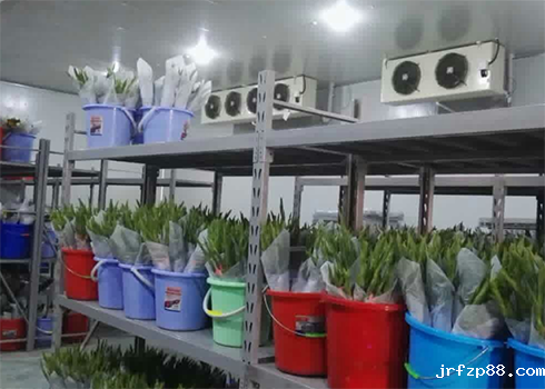 鲜花保鲜冷库建造 鲜花保鲜冷库建造