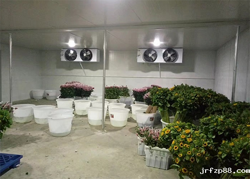 鲜花保鲜冷库建造 鲜花保鲜冷库建造