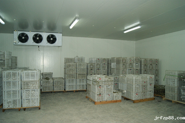气调冷库建造厂家