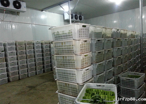 果蔬保鲜库安装造价 果蔬保鲜库安装造价