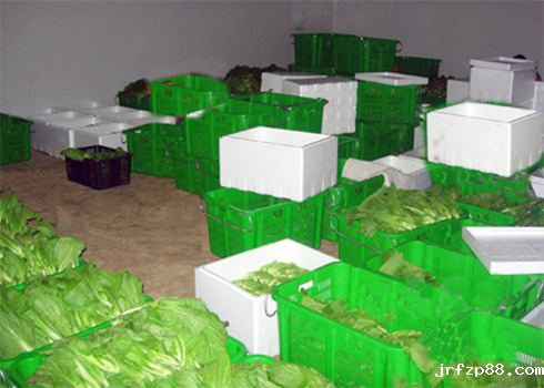 果蔬保鲜冷藏库安装设计