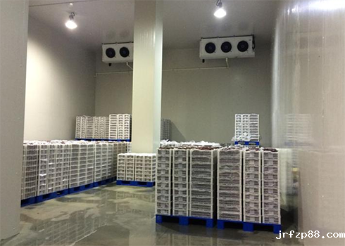 开云体育最新下载软件安装多少钱？