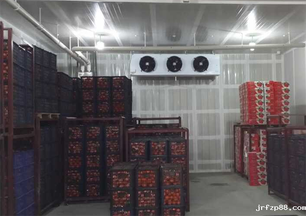 2～8℃樱桃冷藏库