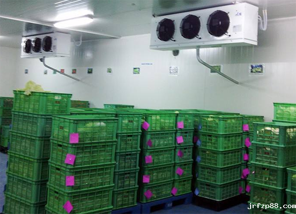 辣椒保鲜冷库建造 辣椒保鲜冷库建造