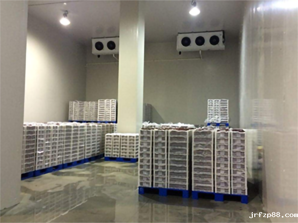 苹果保鲜气调库安装价格 苹果保鲜气调库安装价格