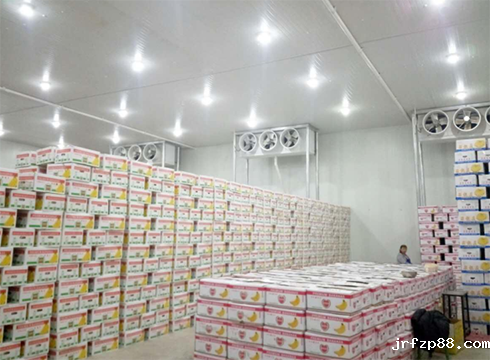 大型开云体育最新下载软件建造