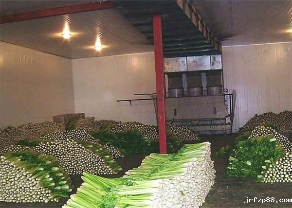 蔬菜冷藏保鲜库建造安装