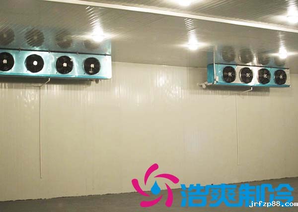 建造一个农贸市场冷库造价大概多少费用？