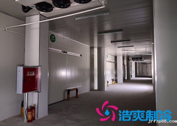 建造一个港口冷链冷库价格是多少钱？