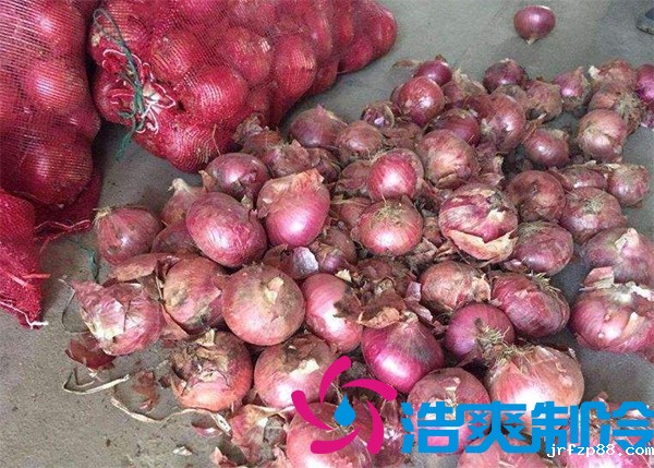 建造1000吨洋葱保鲜冷库安装费用是多少？