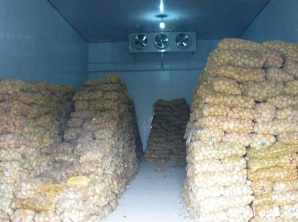 土豆冷库的储存方法及其冷库建造方案_浩爽制冷