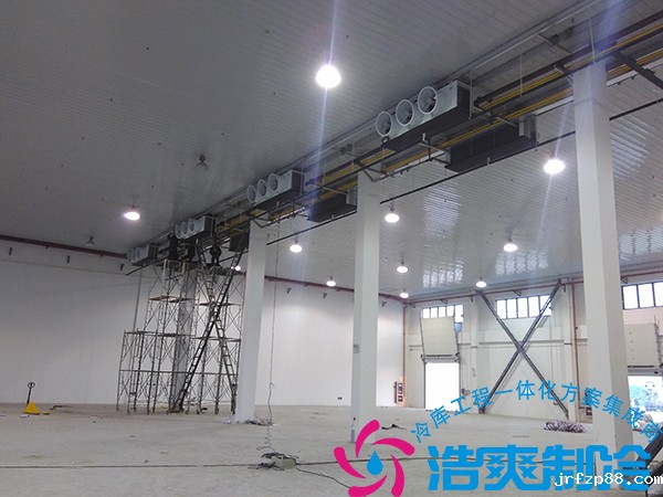 餐饮公司建造21000立方米大型食品冷藏库造价多少钱？_浩爽制冷