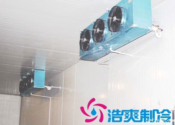 果蔬保鲜冷库建造有哪些注意事项？常见蔬菜冷库储存温湿度是多少？