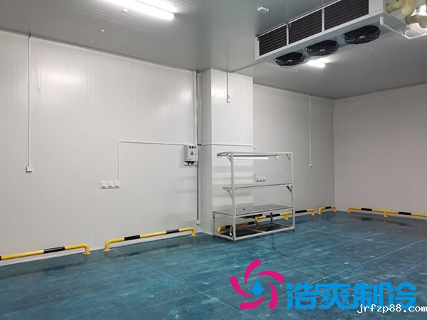 滨州健源大型开云体育最新下载软件工程建造安装案例