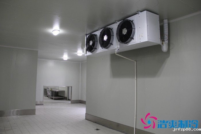 江苏1500㎡农产品中心低温冷藏冷冻库新工程案例