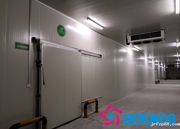 新鲜槟榔如何通过建造槟榔冻库有效储存？_浩爽制冷