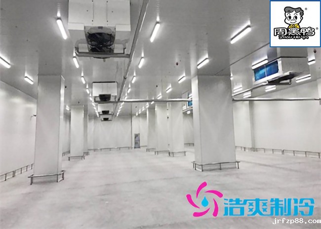 湖北周黑鸭80000m³生产加工成品低温物流冷库施工工程案例 湖北周黑鸭80000m³生产加工成品低温物流冷库施工工程案例
