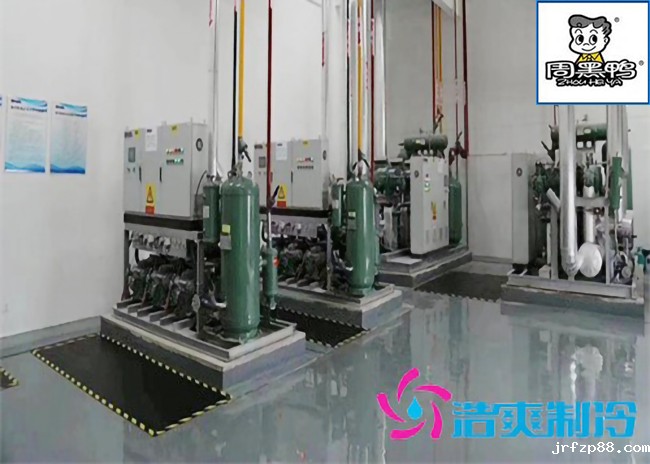 湖北周黑鸭80000m³生产加工成品低温物流冷库施工工程案例 湖北周黑鸭80000m³生产加工成品低温物流冷库施工工程案例