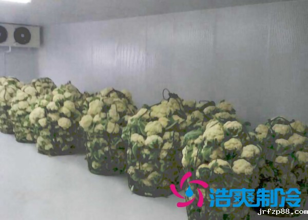 云南500平米气调冷库安装造价大概是多少?_浩爽制冷 云南500平米气调冷库安装造价大概是多少?_浩爽制冷