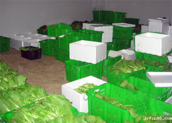 蔬菜冷库建造存储温度及贮藏时间_浩爽制冷 蔬菜冷库建造存储温度及贮藏时间_浩爽制冷