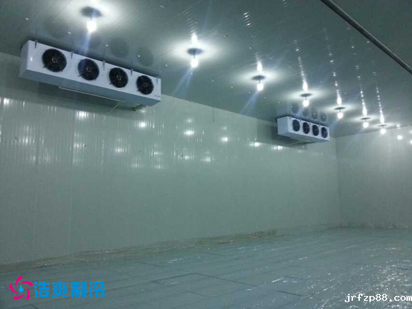 干果保鲜冷库安装