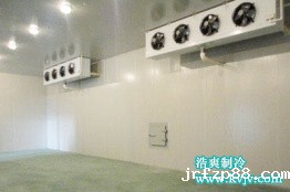 2676立方米罗田县食为天板栗气调冷库