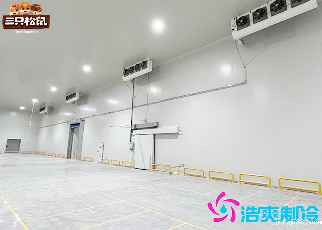 安徽三只松鼠30000m³开云体育最新下载软件建造