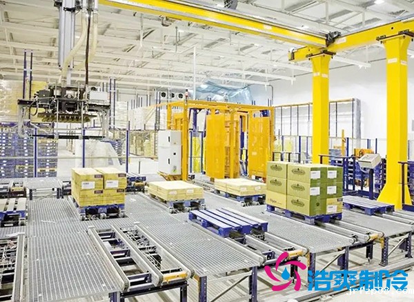 自动化食品立体冷库建造设计方案