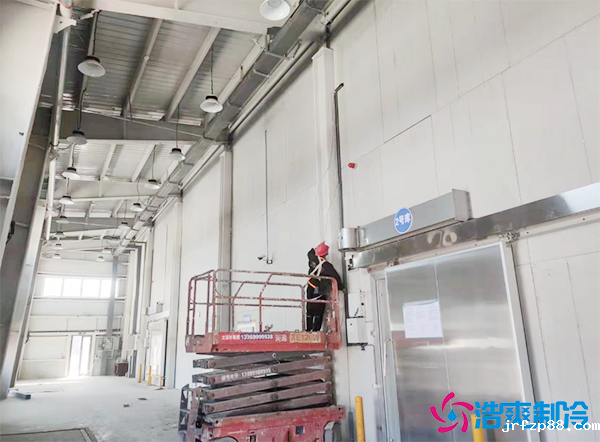 大型排骨冷库怎么储存？骨头冷库可以放多久？-浩爽制冷