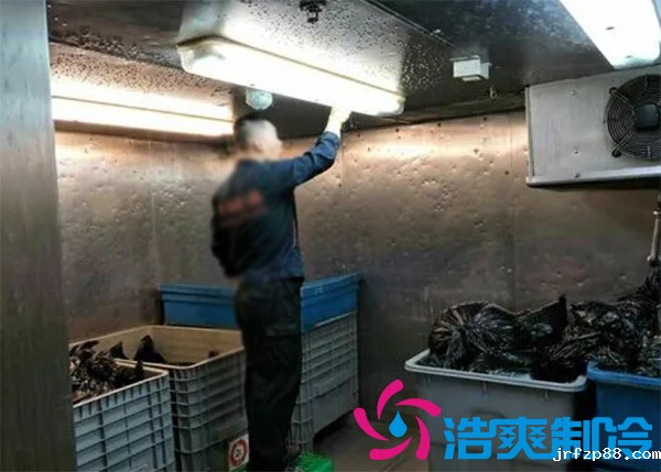 垃圾冷库房设计方案,垃圾冷库价格标准规范多少钱-浩爽制冷