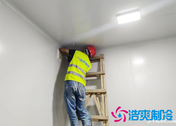 刀豆冷库温度要求范围,刀豆在保鲜库能存储多久-浩爽制冷