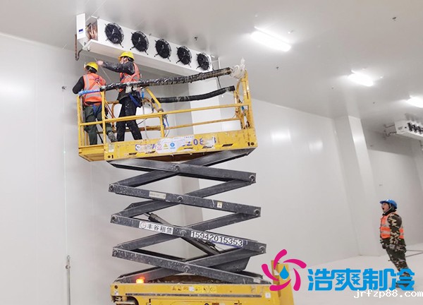 蔬菜种植基地建造600立方米保鲜冷库大概需要多少钱？-浩爽制冷