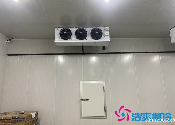 生鲜蔬菜市场冷库应该建多大？-浩爽制冷
