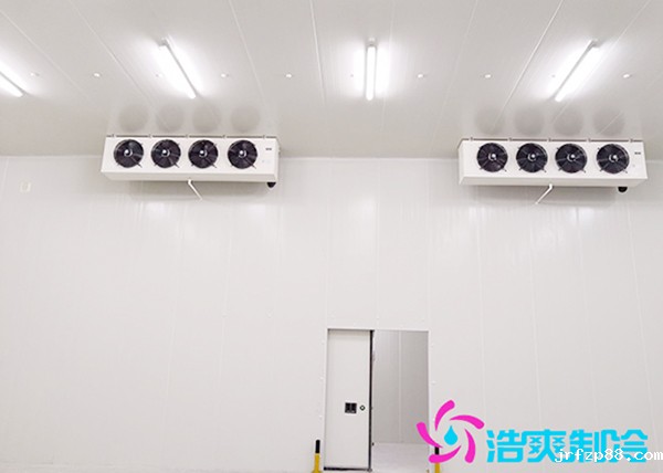 建造2000立方米的冷库要花多少钱?-浩爽制冷