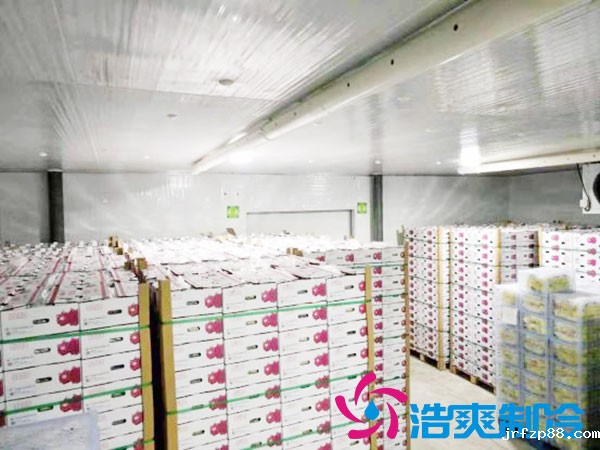 建造一个火龙果冷库要花多少钱？-浩爽制冷