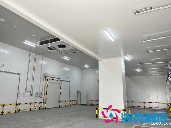 5万吨级大型冷库每平方米的费用是多少？