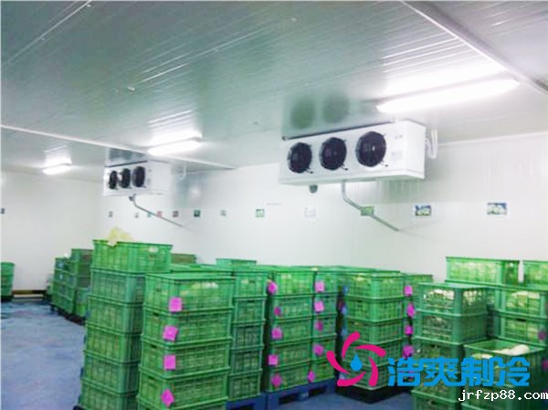 茶叶冷库设置多少温度合适?-浩爽制冷 茶叶冷库设置多少温度合适?-浩爽制冷