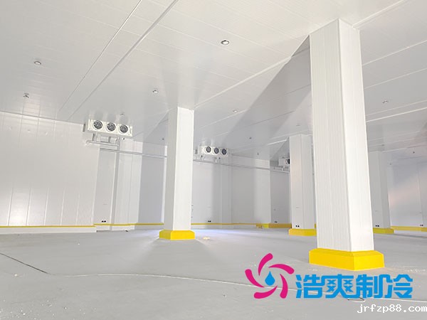 上海低温冷冻库建造厂家-浩爽制冷