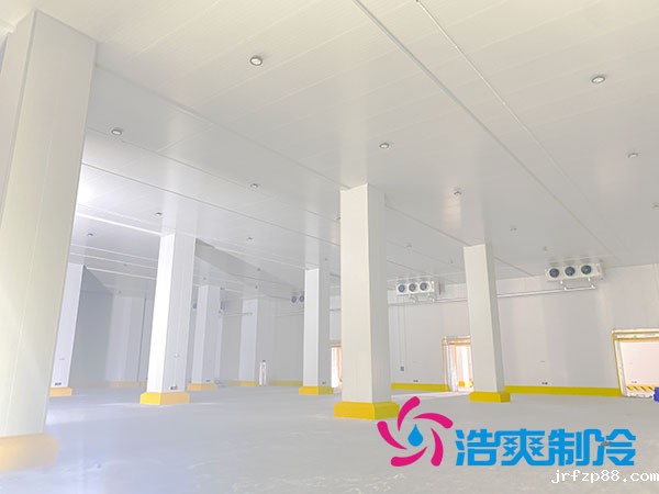 浙江肉类速冻库建造大概多少钱？-浩爽制冷
