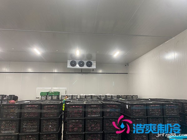 嘉定鸡蛋冷库安装建造多少钱？-浩爽制冷