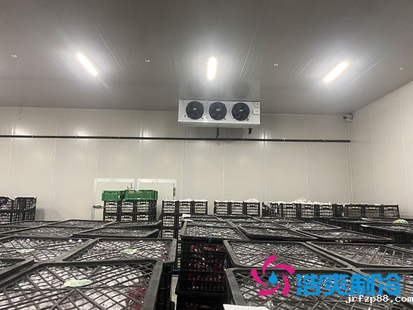 嘉定鸡蛋冷库安装建造多少钱？-浩爽制冷