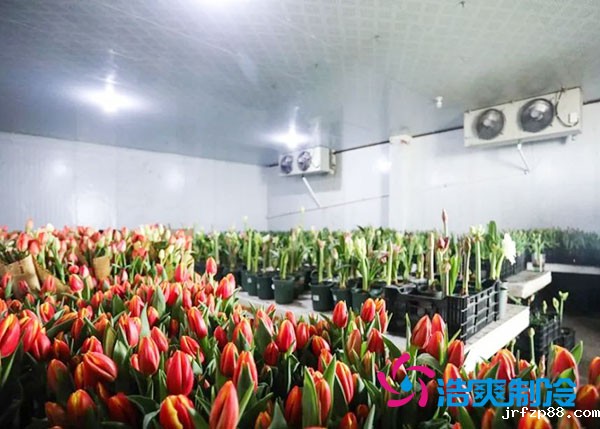 花卉冷库安装预算造价多少钱?-浩爽制冷 花卉冷库安装预算造价多少钱?-浩爽制冷
