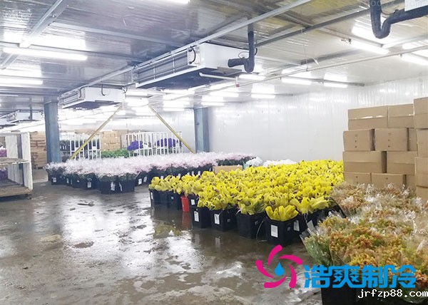 做个鲜花冷库要多少钱？-浩爽制冷