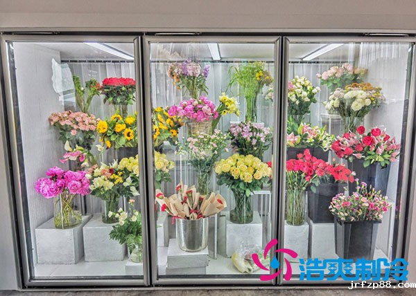 花店冷库适合风冷还是直冷?-浩爽制冷 花店冷库适合风冷还是直冷?-浩爽制冷